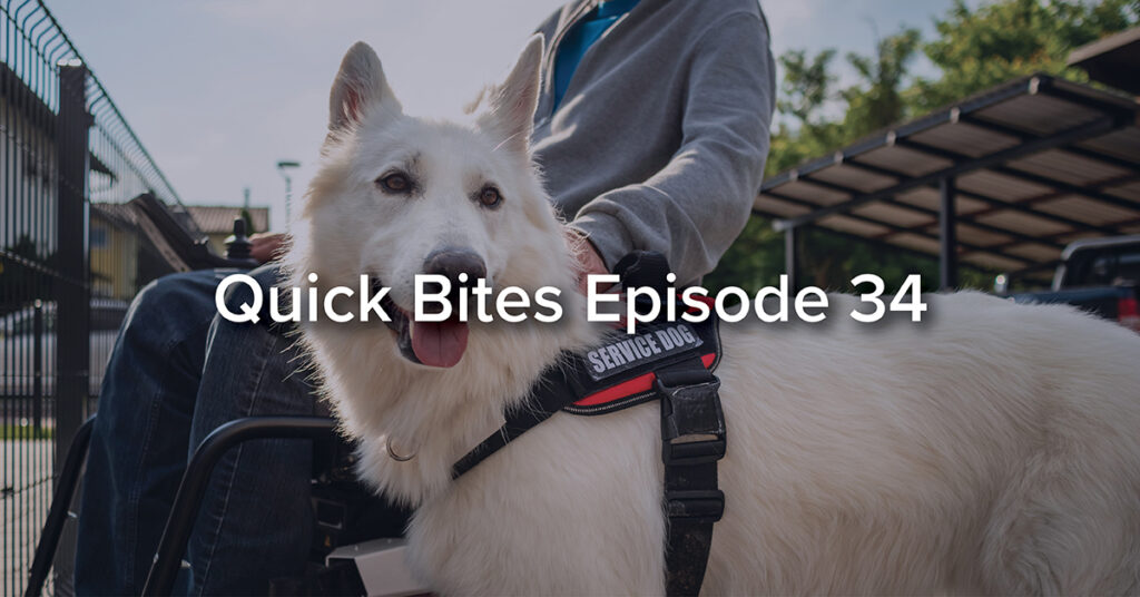 Quick Bites Episode 34 - All About Service Dogs